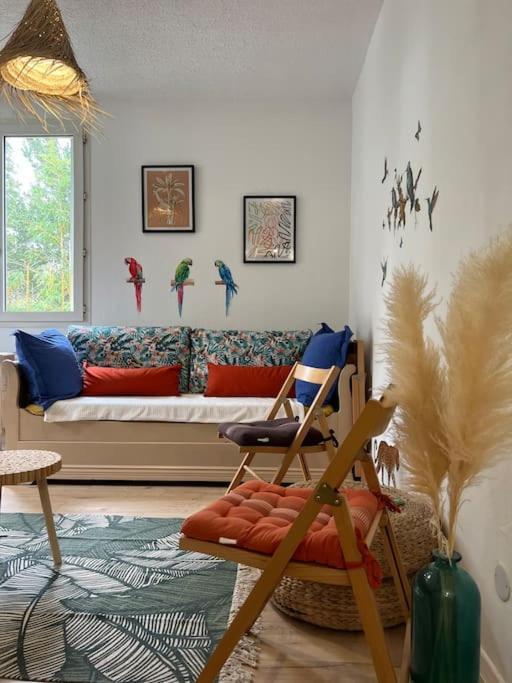 Appartement Balinais Lumineux Et Calme *